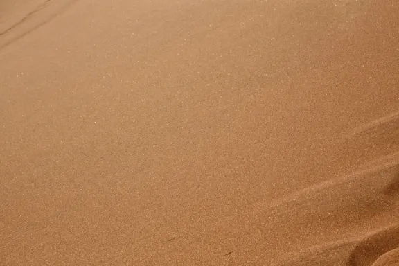 카지노 빙고 밀리어네어 지원